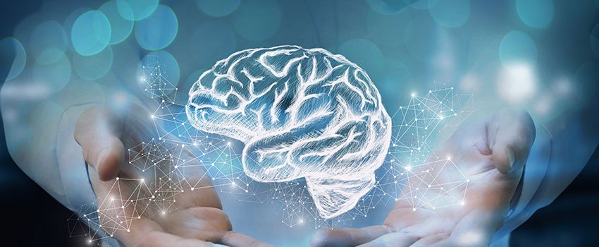 Why Should I Challenge My Brain Every Day?