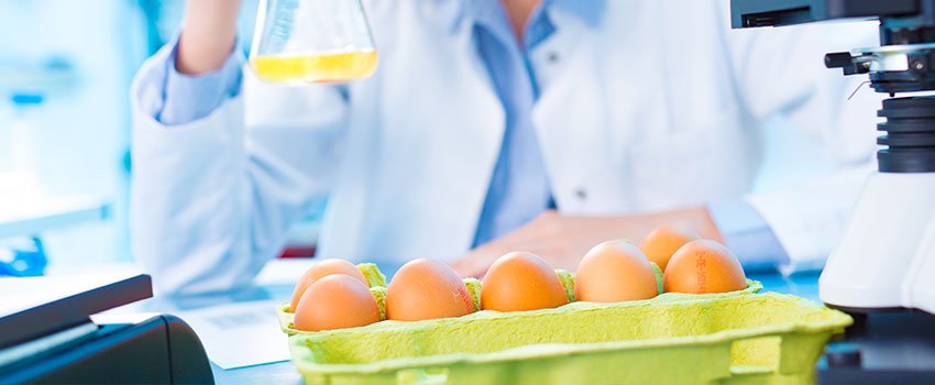 What Should I Do if I Have a Salmonella Infection?