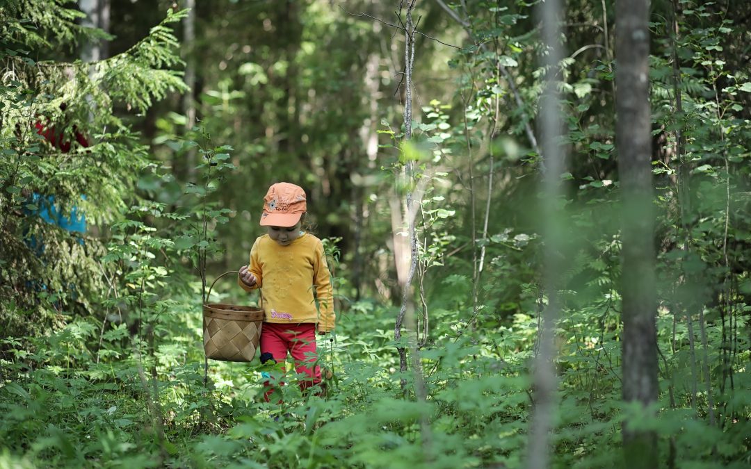 Protecting Your Child from Ticks 