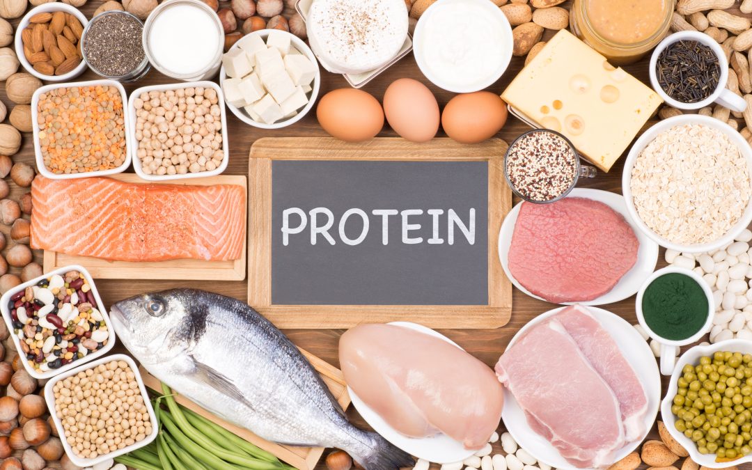 Protein and Weight Loss